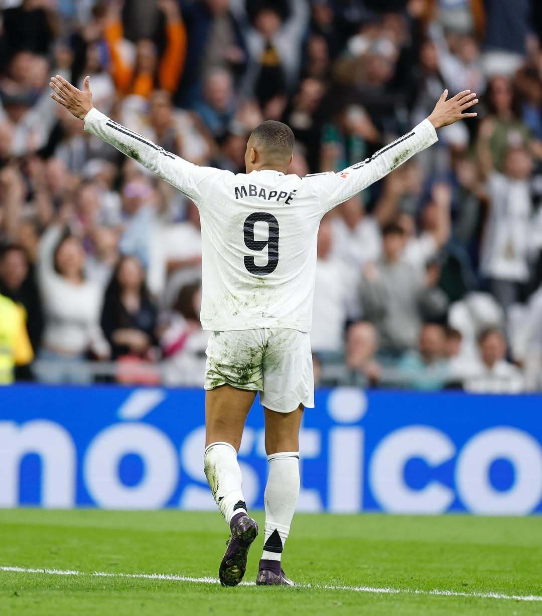 让赢球从稀 让赢球从稀