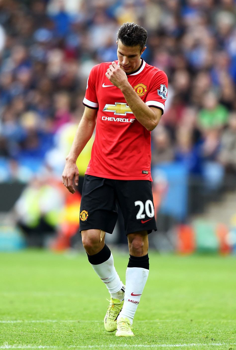 塞内加尔 塞内加尔