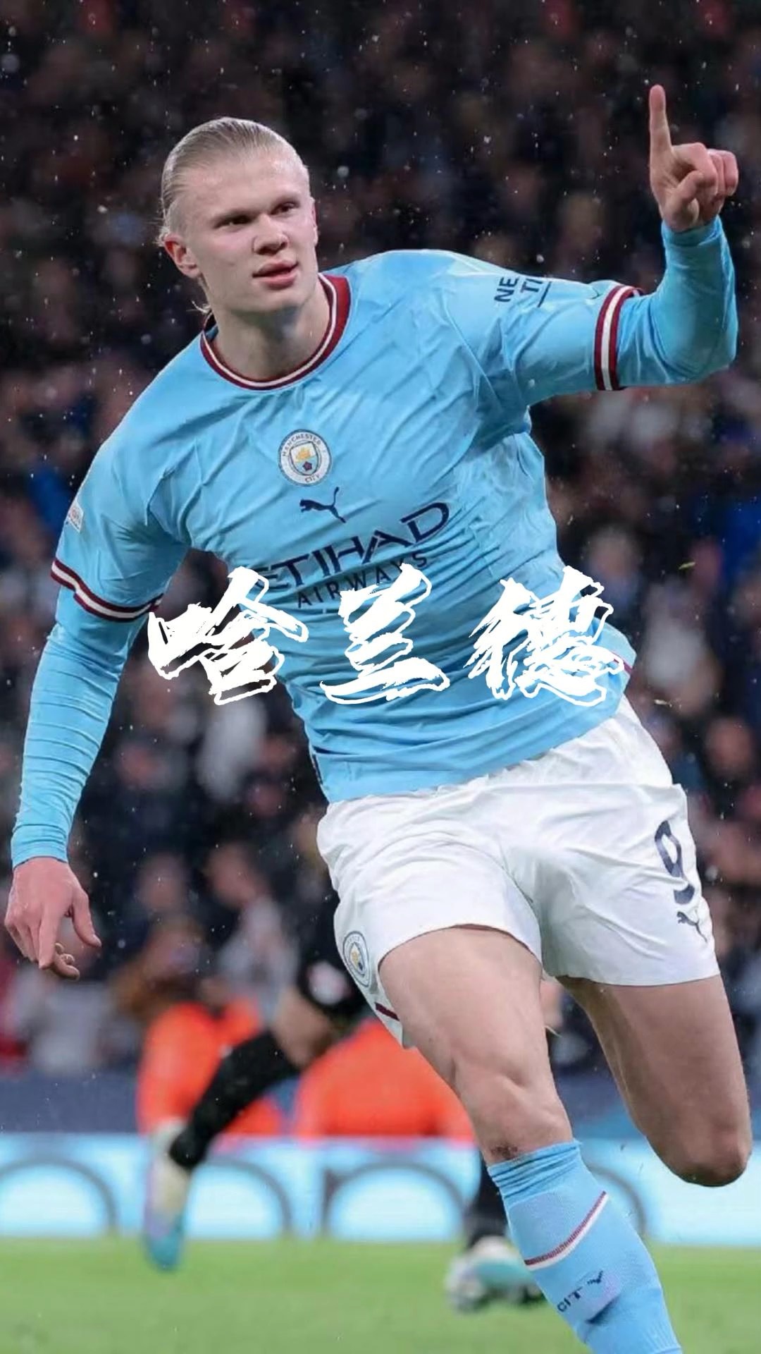 的稳定开局 的稳定开局