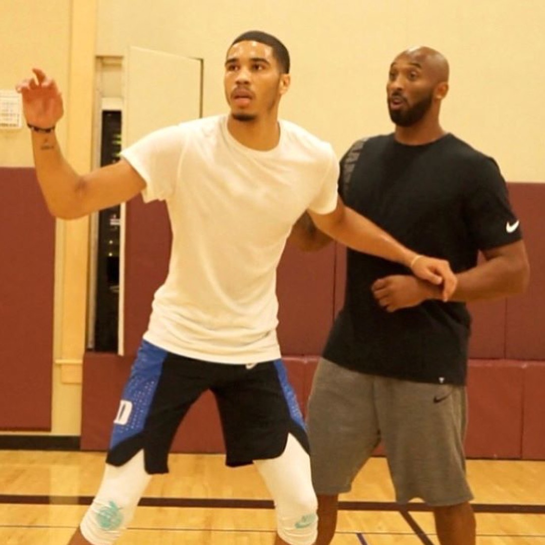 将比朔夫树 将比朔夫树